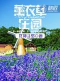 广西忻城薰衣草庄园